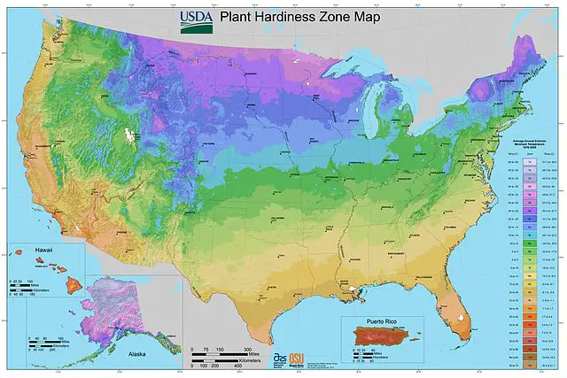 pampas grass zone map