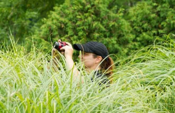 A woman shoots tall ornamental grasses